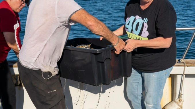 Kitten Rescued at Sea After Hours Alone in the Ocean